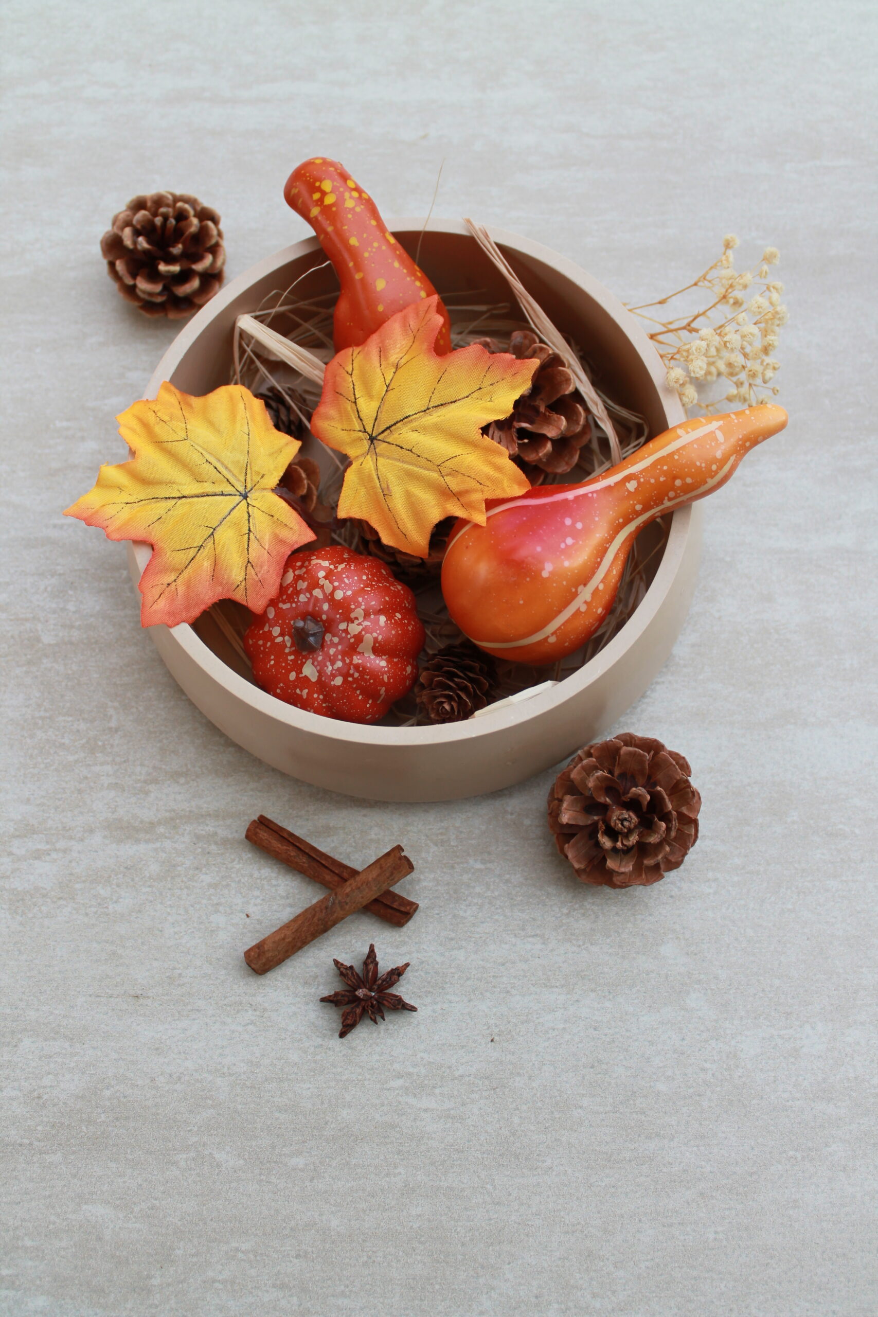 Bol pot-pourri d'automne avec pommes de pin, petite citrouille et châtaignes